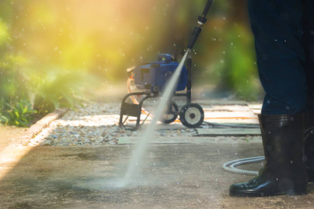 Best Gutter Cleaning  in Ravenswood, WV